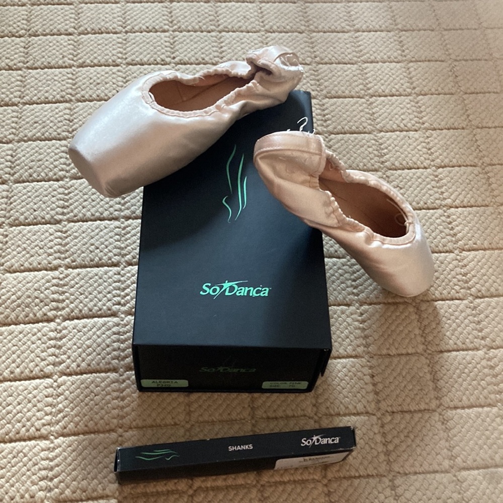 So Danca Elektra point shoes